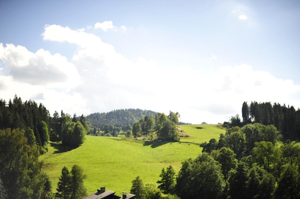 Hotel Ferien Residenz Bergfried Hinterzarten Zewnętrze zdjęcie